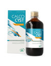 CALCOCYST SOLUZIONE 250ML