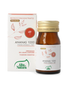 ANANAS 1000
