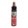 FIORI DI BACH CROMO BIO GTT 10 ML  39 EM