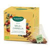 INFUSO MELA CANNELLA BIO