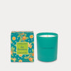 GIN BOTANICALS CANDELA
